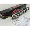 DBILAS DYNAMIC Arvore Cames Race 284º 1.9TDI / 2.0 TDI PD 8V