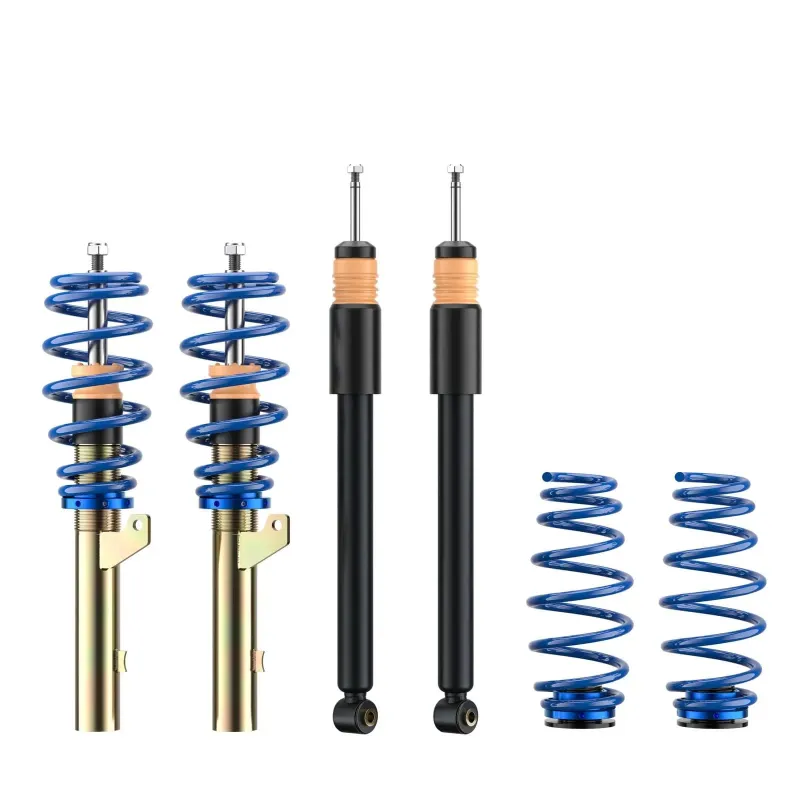 Coilovers AP BMW E91